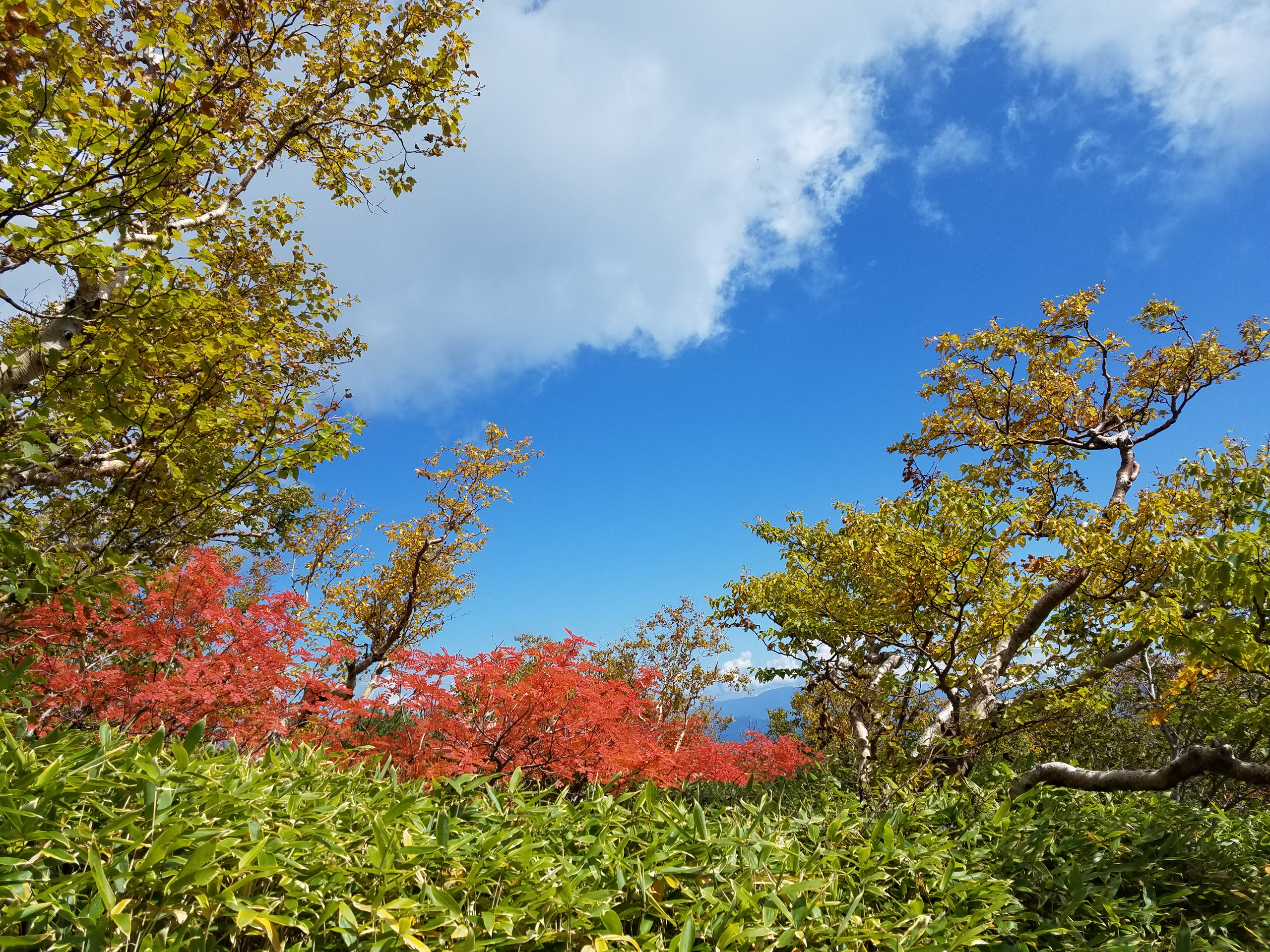 黒澤館　風景